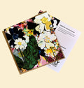 Primrose/Sabhairchin | Blank Greeting Card